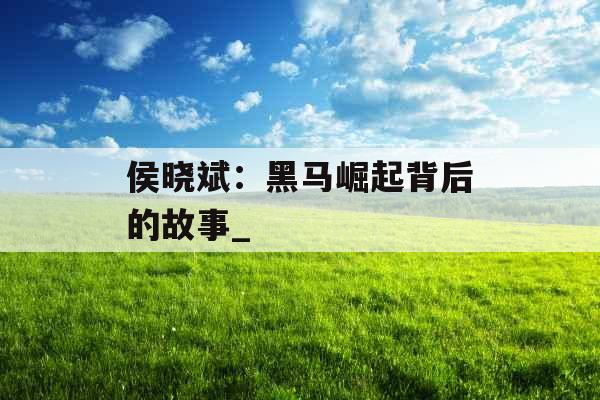 侯晓斌：黑马崛起背后的故事_