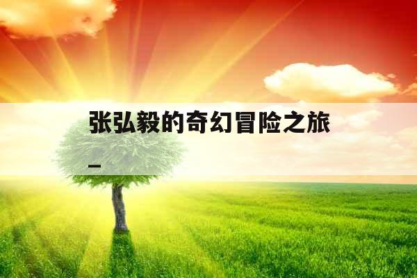 张弘毅的奇幻冒险之旅_