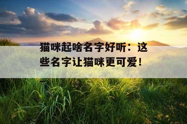 猫咪起啥名字好听：这些名字让猫咪更可爱！_