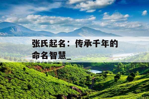 张氏起名：传承千年的命名智慧_