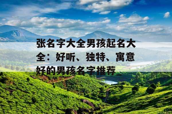 张名字大全男孩起名大全：好听、独特、寓意好的男孩名字推荐_