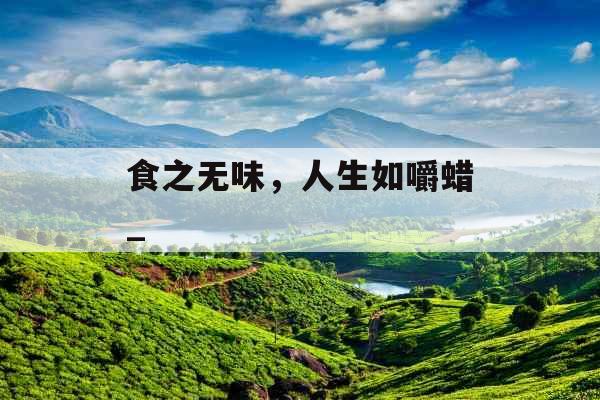 食之无味，人生如嚼蜡_