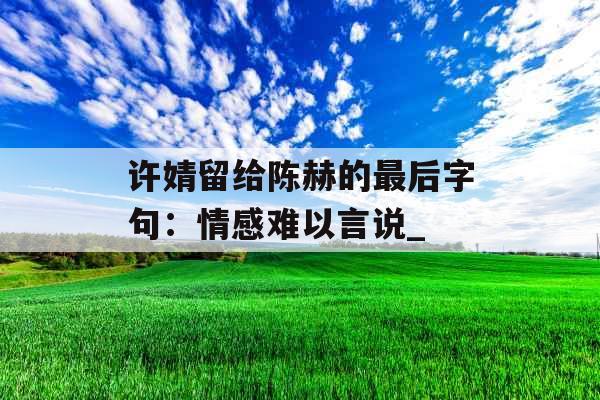 许婧留给陈赫的最后字句：情感难以言说_