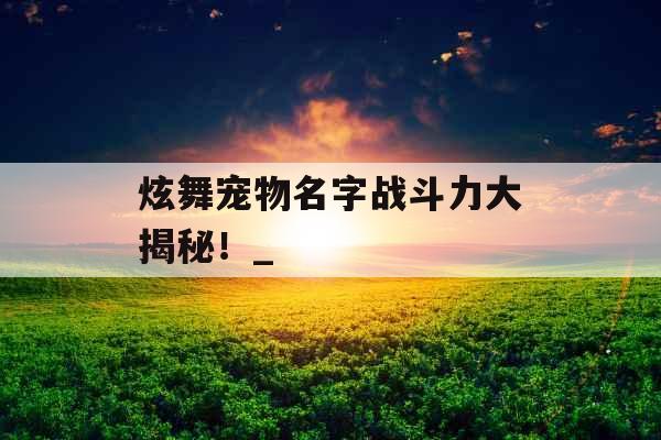 炫舞宠物名字战斗力大揭秘！_