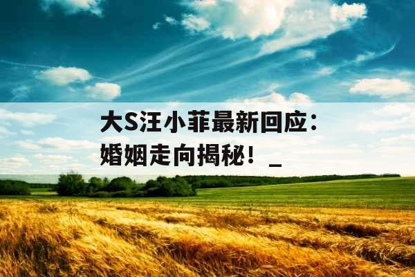 大S汪小菲最新回应：婚姻走向揭秘！_