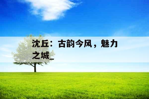 沈丘：古韵今风，魅力之城_