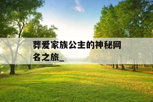 葬爱家族公主的神秘网名之旅_