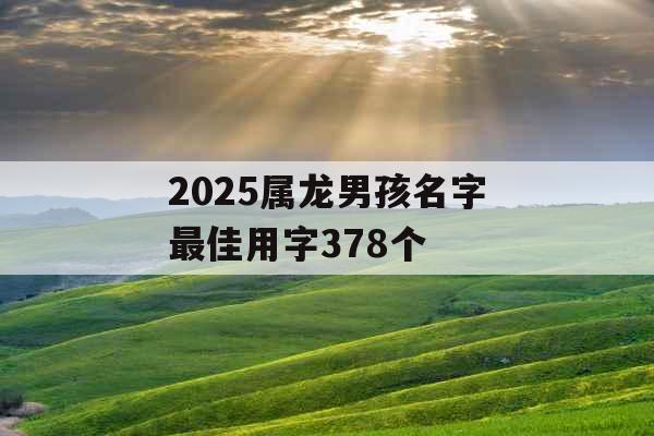 2025属龙男孩名字最佳用字378个 2025属龙男孩名字最佳用字378个