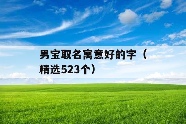 男宝取名寓意好的字（精选523个）