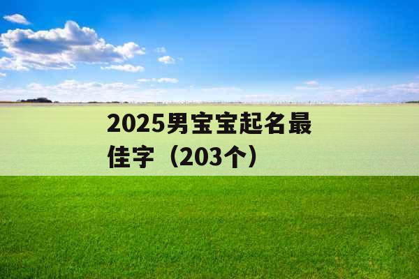 2025男宝宝起名最佳字(203个) 2025男宝宝起名最佳字(203个)