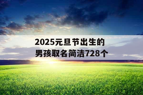 2025元旦节出生的男孩取名简洁728个 2025元旦节出生的男孩取名简洁728个