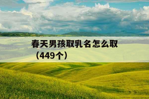 春天男孩取乳名怎么取（449个）