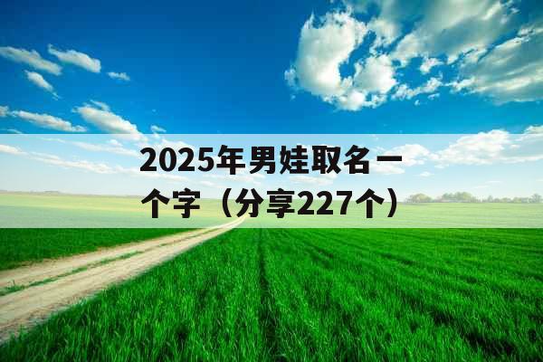 2025年男娃取名一个字(分享227个) 2025年男娃取名一个字(分享227个)