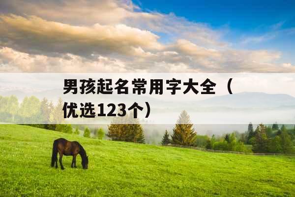 男孩起名常用字大全(优选123个) 男孩起名常用字大全(优选123个)