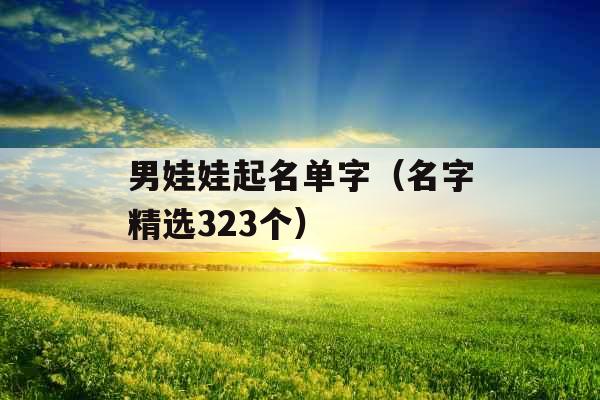 男娃娃起名单字（名字精选323个）
