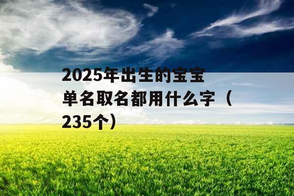 2025年出生的宝宝单名取名都用什么字（235个）