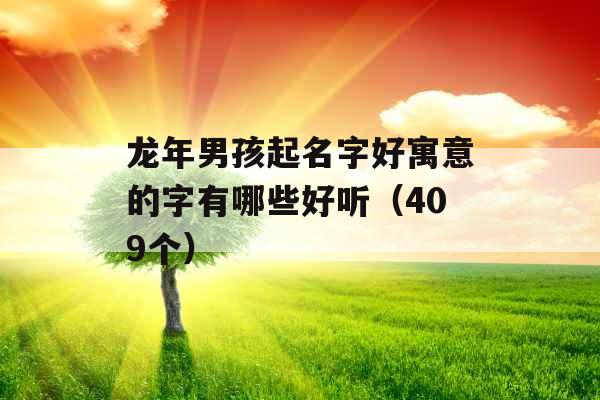 龙年男孩起名字好寓意的字有哪些好听（409个）