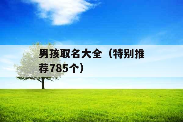男孩取名大全(特别推荐785个) 男孩取名大全(特别推荐785个)