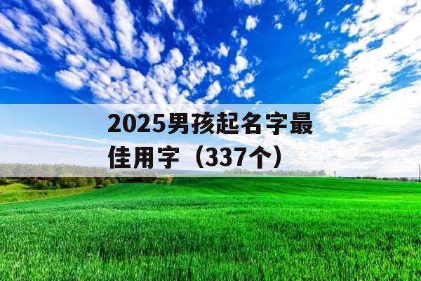 2025男孩起名字最佳用字(337个) 2025男孩起名字最佳用字(337个)