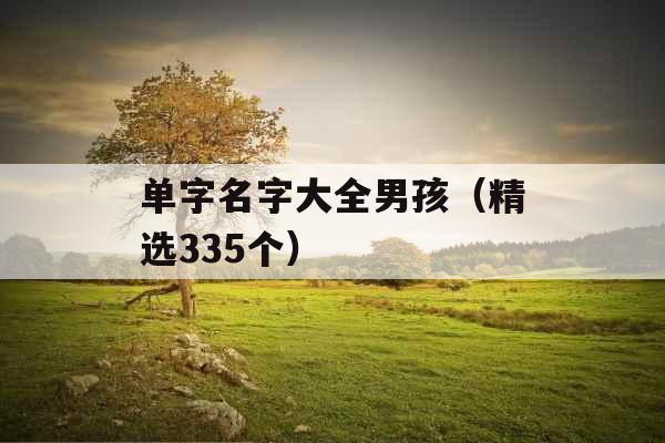 单字名字大全男孩(精选335个) 单字名字大全男孩(精选335个)