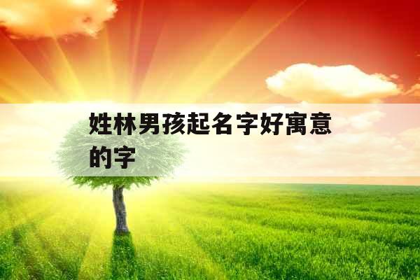 姓林男孩起名字好寓意的字 姓林男孩起名字好寓意的字