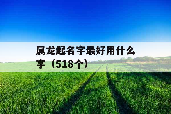 属龙起名字最好用什么字（518个）