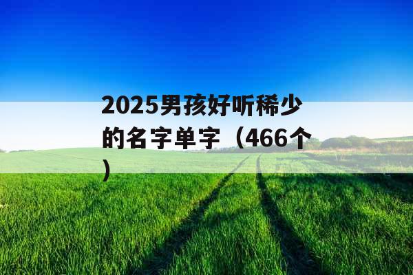 2025男孩好听稀少的名字单字(466个) 2025男孩好听稀少的名字单字(466个)