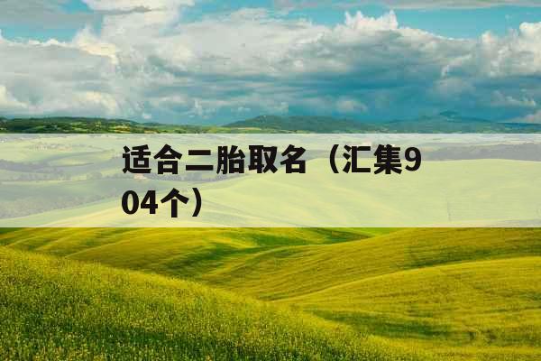 适合二胎取名（汇集904个）