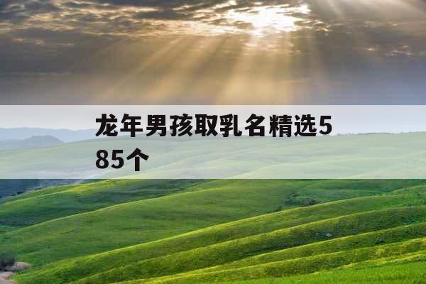 龙年男孩取乳名精选585个 龙年男孩取乳名精选585个