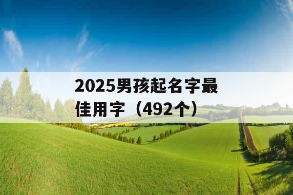 2025男孩起名字最佳用字（492个）