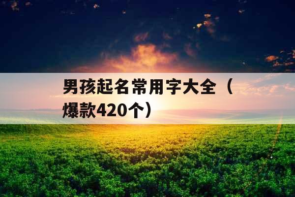男孩起名常用字大全(爆款420个) 男孩起名常用字大全(爆款420个)