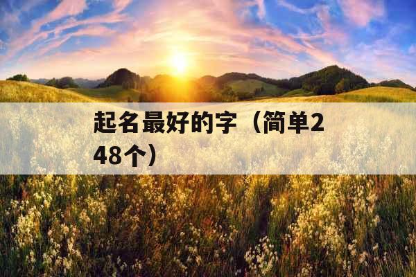 起名最好的字（简单248个）