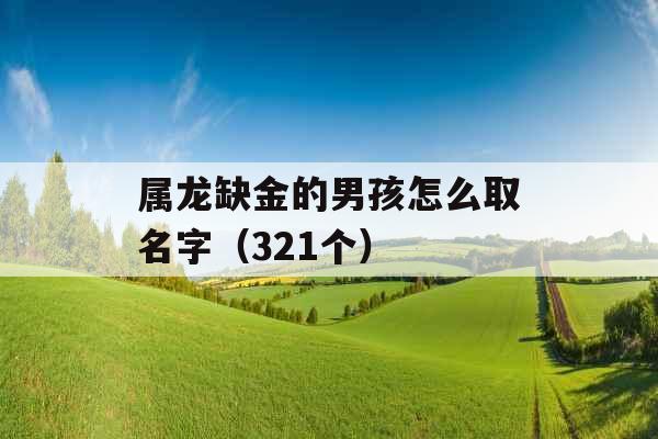 属龙缺金的男孩怎么取名字（321个）