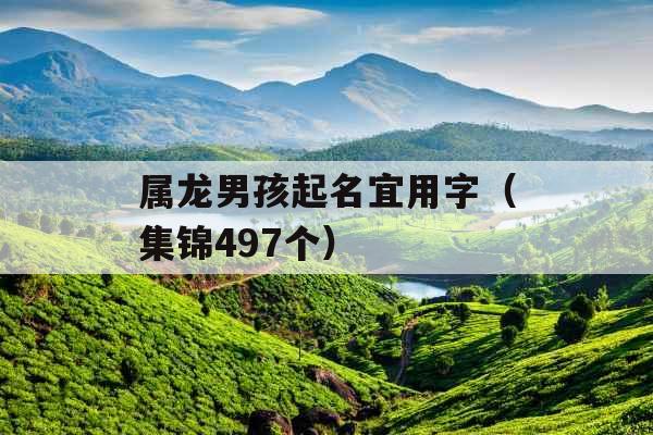 属龙男孩起名宜用字(集锦497个) 属龙男孩起名宜用字(集锦497个)
