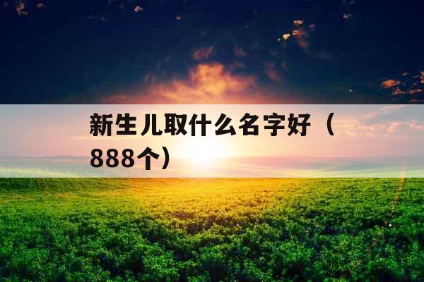 新生儿取什么名字好(888个) 新生儿取什么名字好(888个)