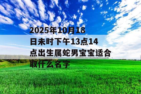 2025年10月18日未时下午13点14点出生属蛇男宝宝适合取什么名字 2025年10月18日未时下午13点14点出生属蛇男宝宝适合取什么名字