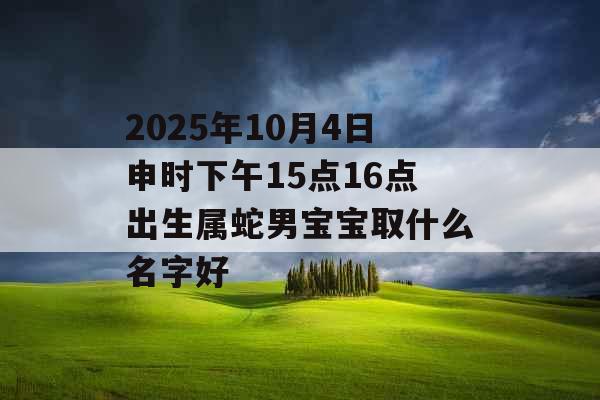 2025年10月4日申时下午15点16点出生属蛇男宝宝取什么名字好