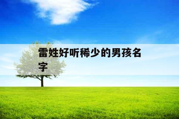 雷姓好听稀少的男孩名字