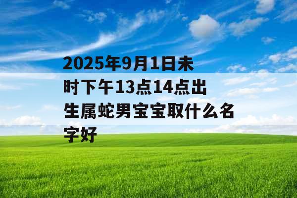 2025年9月1日未时下午13点14点出生属蛇男宝宝取什么名字好