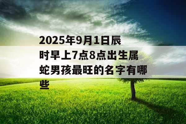 2025年9月1日辰时早上7点8点出生属蛇男孩最旺的名字有哪些