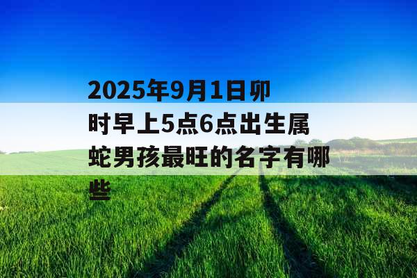 2025年9月1日卯时早上5点6点出生属蛇男孩最旺的名字有哪些