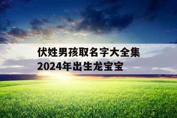 伏姓男孩取名字大全集2024年出生龙宝宝