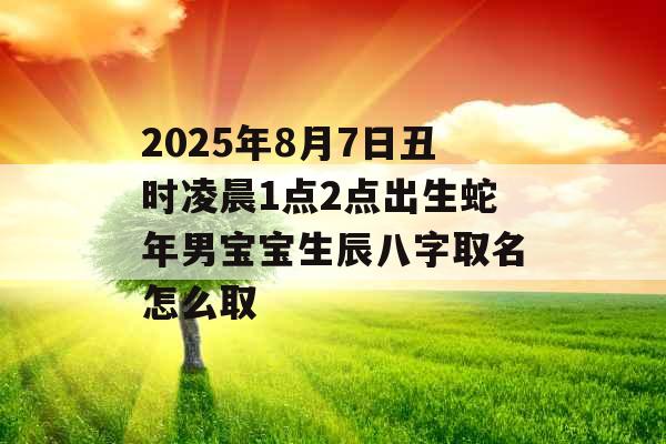 2025年8月7日丑时凌晨1点2点出生蛇年男宝宝生辰八字取名怎么取 2025年8月7日丑时凌晨1点2点出生蛇年男宝宝生辰八字取名怎么取