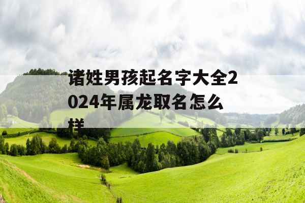 诸姓男孩起名字大全2024年属龙取名怎么样