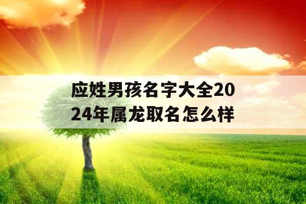 应姓男孩名字大全2024年属龙取名怎么样