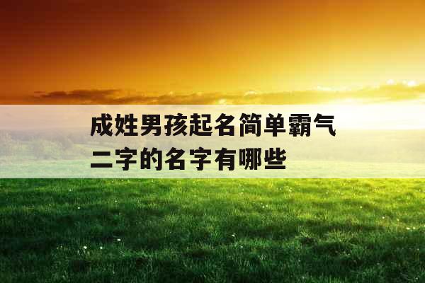 成姓男孩起名简单霸气二字的名字有哪些