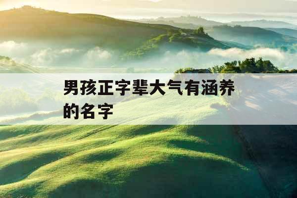 男孩正字辈大气有涵养的名字