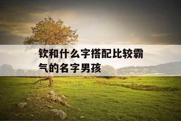 钦和什么字搭配比较霸气的名字男孩 钦和什么字搭配比较霸气的名字男孩