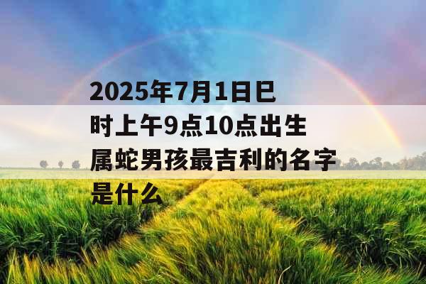 2025年7月1日巳时上午9点10点出生属蛇男孩最吉利的名字是什么