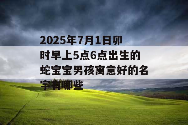 2025年7月1日卯时早上5点6点出生的蛇宝宝男孩寓意好的名字有哪些